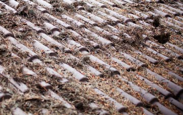 Cerrig Llwydion roof cleaning companies